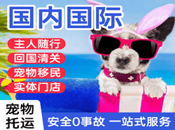 万州五桥机场快递国际宠物托运 【国